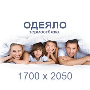 Одеяло (термостёжка) 1700 х 2050