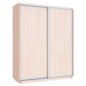 Шкаф-купе 2-х дверный Экспресс Элемент 2400х1800х600 мм