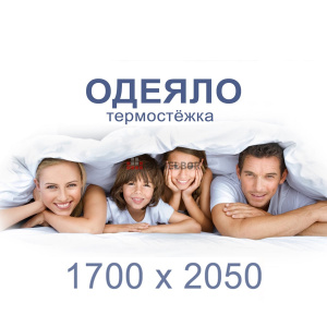 Одеяло (термостёжка) 1700 х 2050