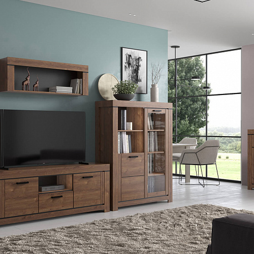 Тумба RTV 2D1SN BRASS Дуб экспресив бронзовый