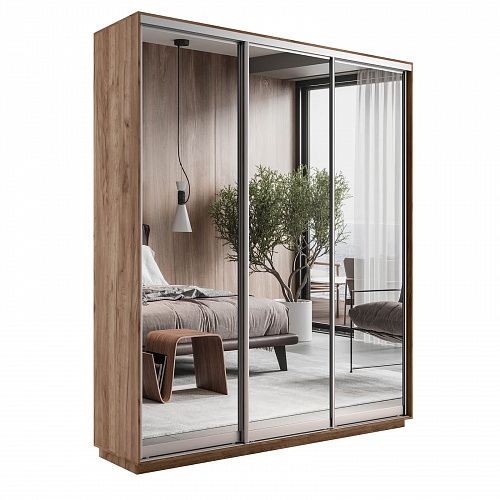 Шкаф-купе 3-х дверный Экспресс Экспенс 2200х1800х450 мм