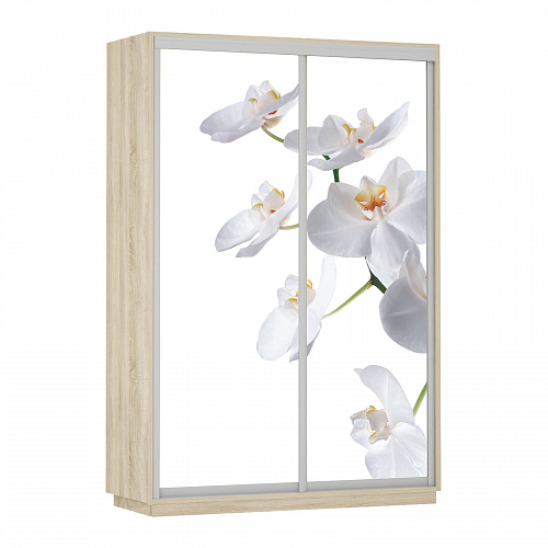 Шкаф-купе 2-х дверный Экспресс Фотопечать 2400х1400х450 мм