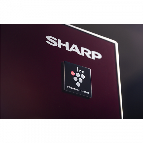 Холодильник Sharp SJGX98PRD