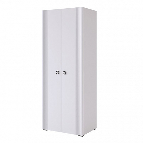 Шкаф двухдверный Ева 104.01 белое дерево/белый матовый