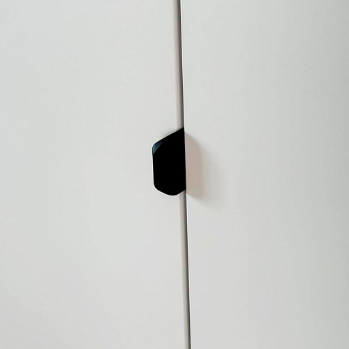 Шкаф двухдверный Рич кашемир/фрапучино матовый/черный