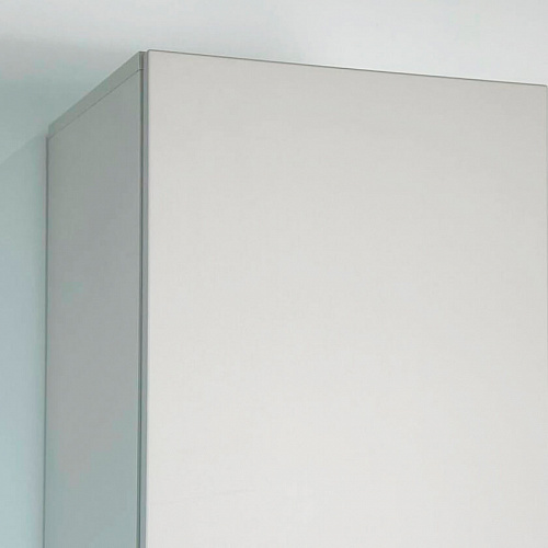 Шкаф однодверный Рич кашемир/фрапучино матовый/черный