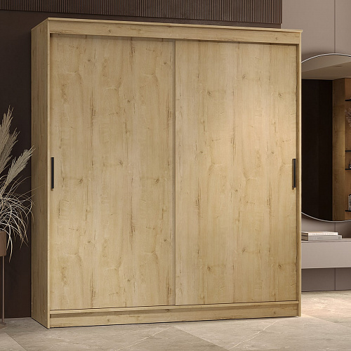 Шкаф-купе ГРАНД 1 2,0 Дуб вотан/Дуб вотан ЛДСП