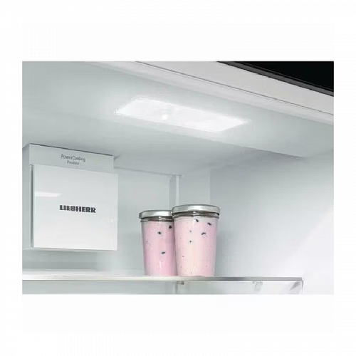 Встраиваемые холодильники Liebherr ICf 5103-22 001