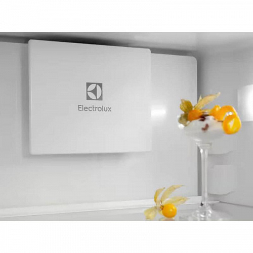 Встраиваемые холодильники  ELECTROLUX E6MNCE19S