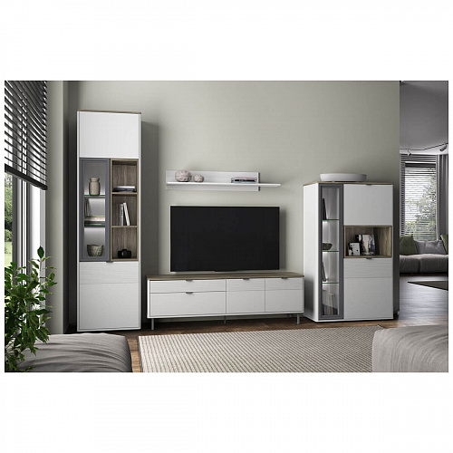 Тумба RTV SIMPLE 2D2S Белый/Монте/Джелато