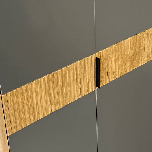 Шкаф двухдверный Адам дуб крафт золотой/графит