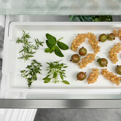 Морозильные камеры LIEBHERR SFNsdd 5237-22 001