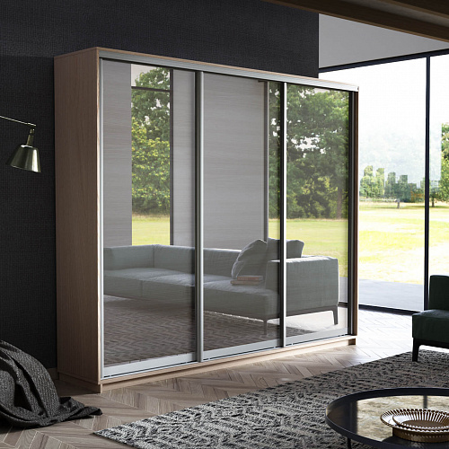 Шкаф-купе 3-х дверный Экспресс Экспенс 2200х2400х450 мм