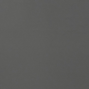 Discovery grey